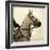 Vintage Equestrian - Counter-null-Framed Giclee Print