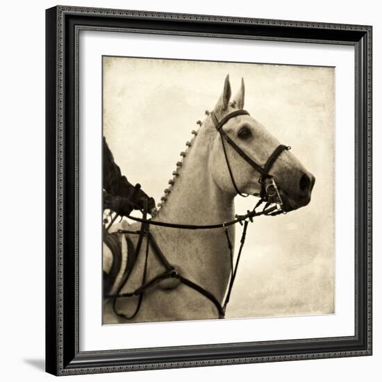 Vintage Equestrian - Counter-null-Framed Giclee Print