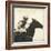 Vintage Equestrian - Done-null-Framed Giclee Print