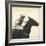 Vintage Equestrian - Done-null-Framed Giclee Print