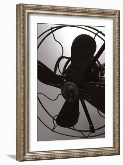 Vintage Fan Study III-Renee W. Stramel-Framed Art Print