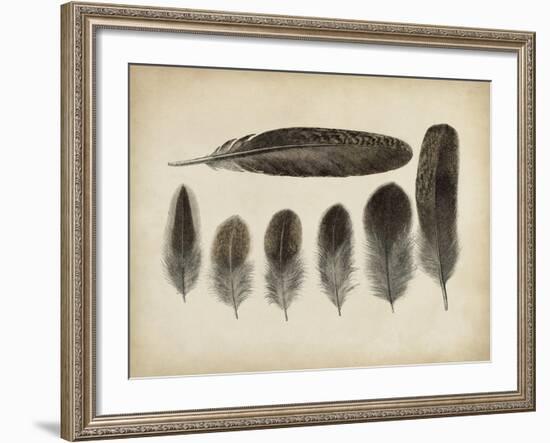 Vintage Feathers VI-null-Framed Art Print