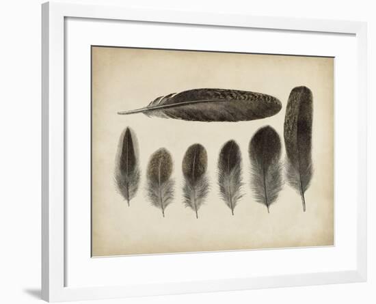 Vintage Feathers VI-null-Framed Art Print