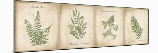 Vintage Ferns - 4 Image Panel-Wild Apple Portfolio-Mounted Art Print