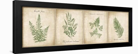 Vintage Ferns - 4 Image Panel-Wild Apple Portfolio-Framed Art Print