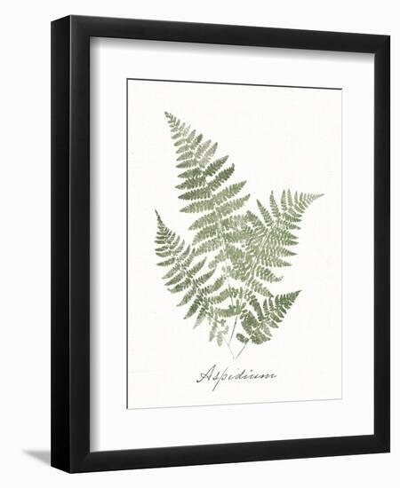 Vintage Ferns IX no Border White-Wild Apple Portfolio-Framed Art Print