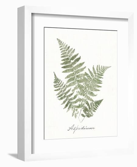 Vintage Ferns IX no Border White-Wild Apple Portfolio-Framed Art Print