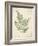 Vintage Ferns IX-Hugo Wild-Framed Art Print