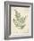 Vintage Ferns IX-Hugo Wild-Framed Art Print