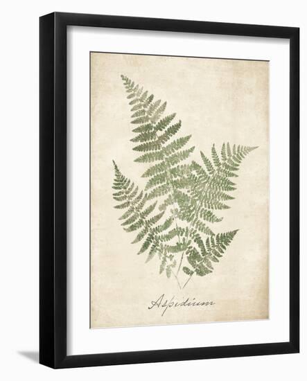 Vintage Ferns IX-Hugo Wild-Framed Art Print