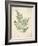 Vintage Ferns IX-Hugo Wild-Framed Art Print