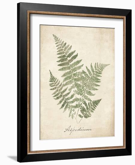 Vintage Ferns IX-Hugo Wild-Framed Art Print