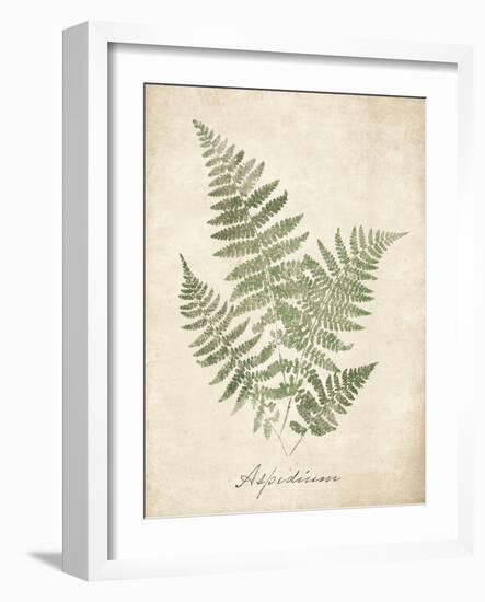 Vintage Ferns IX-Hugo Wild-Framed Art Print