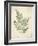 Vintage Ferns IX-Hugo Wild-Framed Art Print