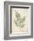 Vintage Ferns IX-Hugo Wild-Framed Premium Giclee Print