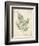 Vintage Ferns IX-Hugo Wild-Framed Premium Giclee Print