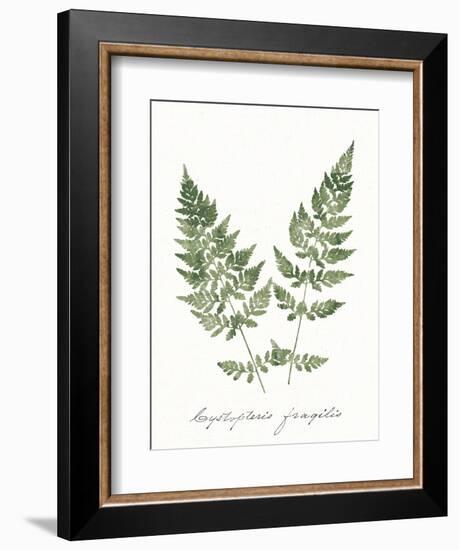 Vintage Ferns VII no Border White-Wild Apple Portfolio-Framed Art Print