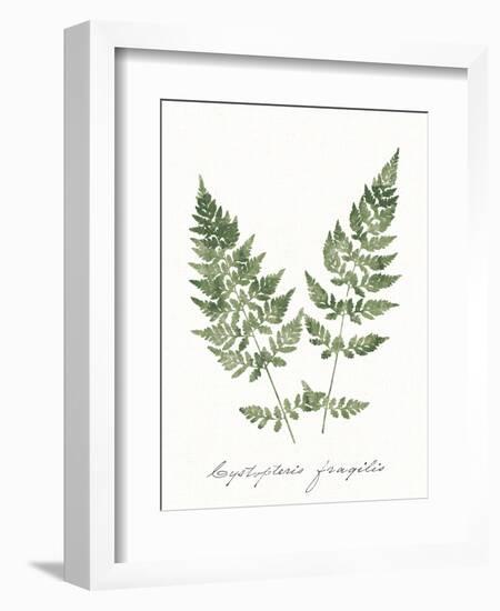 Vintage Ferns VII no Border White-Wild Apple Portfolio-Framed Art Print