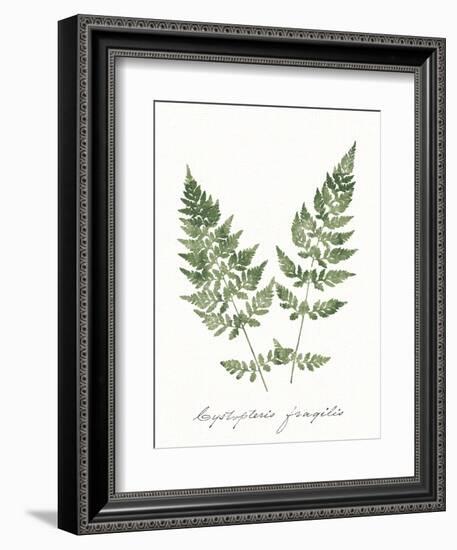 Vintage Ferns VII no Border White-Wild Apple Portfolio-Framed Art Print