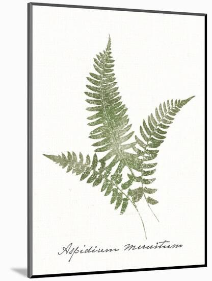 Vintage Ferns X no Border White-Wild Apple Portfolio-Mounted Art Print