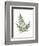 Vintage Ferns XI no Border White-Wild Apple Portfolio-Framed Art Print