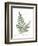 Vintage Ferns XI no Border White-Wild Apple Portfolio-Framed Art Print