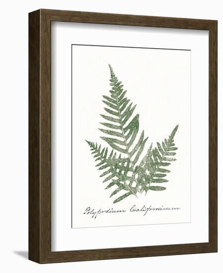 Vintage Ferns XI no Border White-Wild Apple Portfolio-Framed Art Print