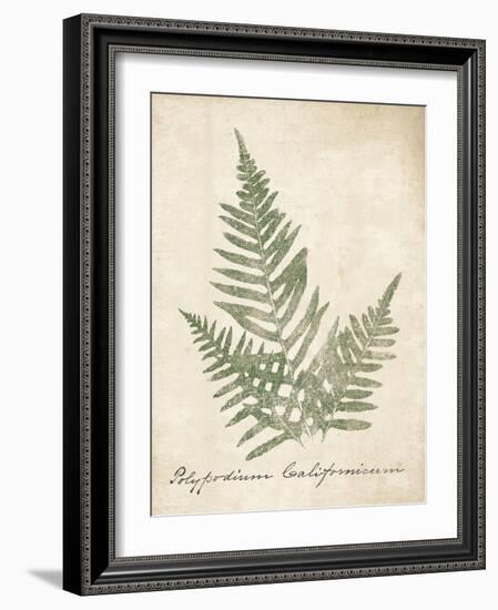 Vintage Ferns XI no Border-Wild Apple Portfolio-Framed Art Print