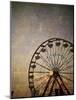 Vintage Ferris Wheel at the Ohio State Fair-pdb1-Mounted Photographic Print