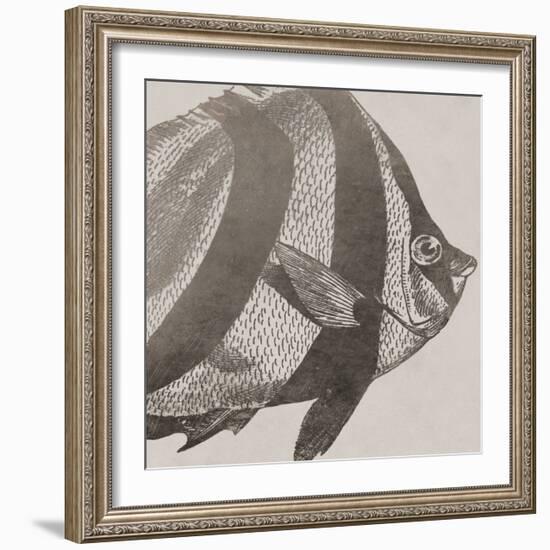 Vintage Fish I-Sparx Studio-Framed Art Print