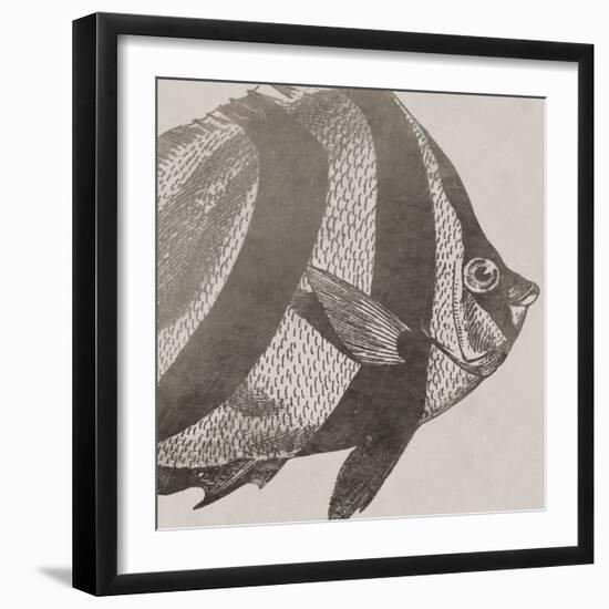 Vintage Fish I-Sparx Studio-Framed Art Print