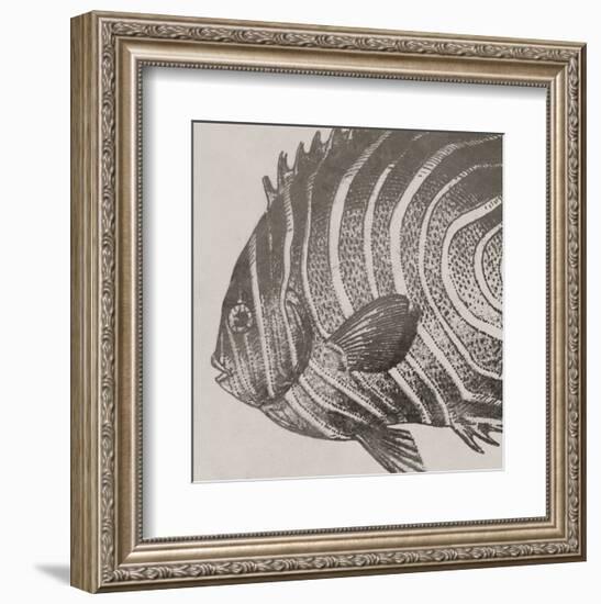 Vintage Fish II-Sparx Studio-Framed Art Print