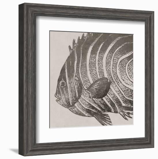 Vintage Fish II-Sparx Studio-Framed Art Print