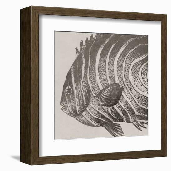 Vintage Fish II-Sparx Studio-Framed Art Print