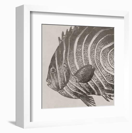 Vintage Fish II-Sparx Studio-Framed Art Print
