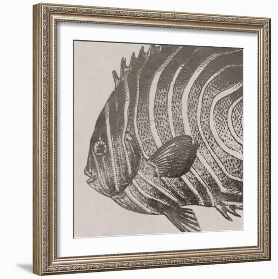 Vintage Fish II-Sparx Studio-Framed Art Print