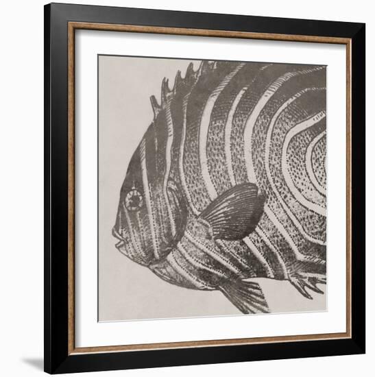 Vintage Fish II-Sparx Studio-Framed Art Print