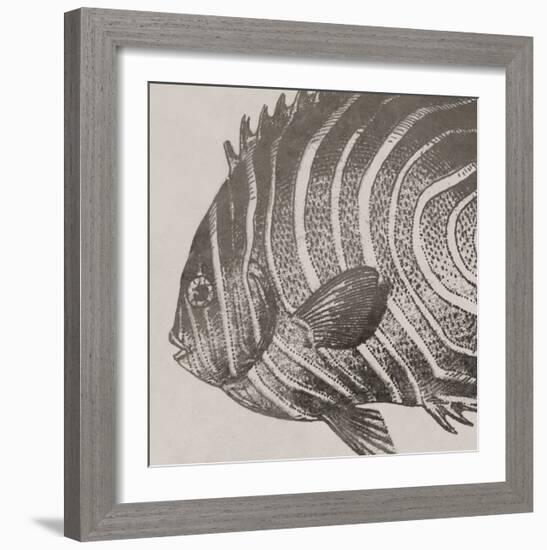 Vintage Fish II-Sparx Studio-Framed Art Print