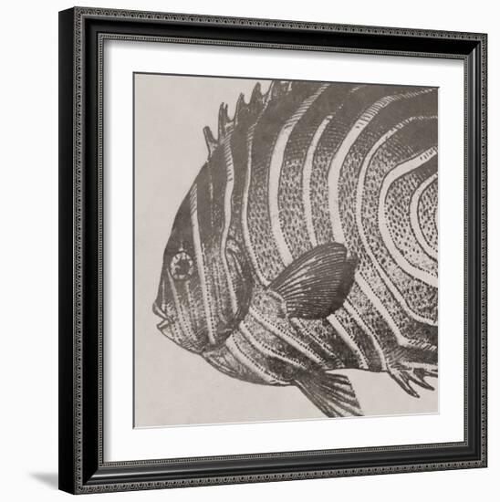 Vintage Fish II-Sparx Studio-Framed Art Print