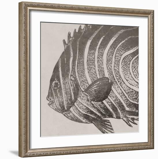 Vintage Fish II-Sparx Studio-Framed Giclee Print