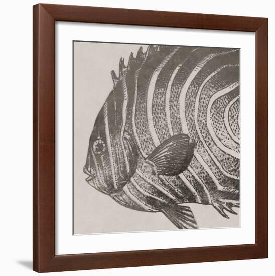 Vintage Fish II-Sparx Studio-Framed Giclee Print