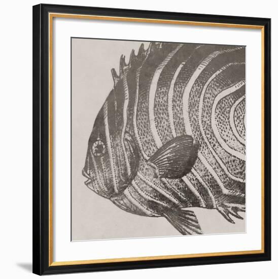 Vintage Fish II-Sparx Studio-Framed Giclee Print