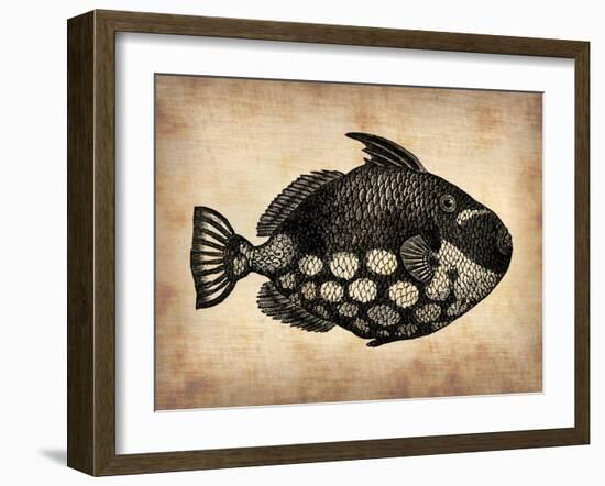 Vintage Fish-NaxArt-Framed Art Print