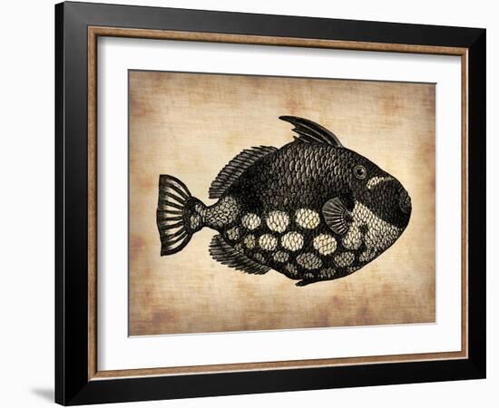 Vintage Fish-NaxArt-Framed Art Print