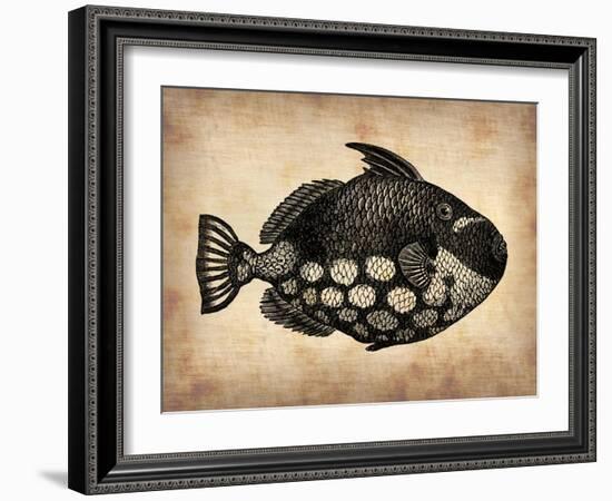 Vintage Fish-NaxArt-Framed Art Print