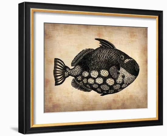 Vintage Fish-NaxArt-Framed Art Print