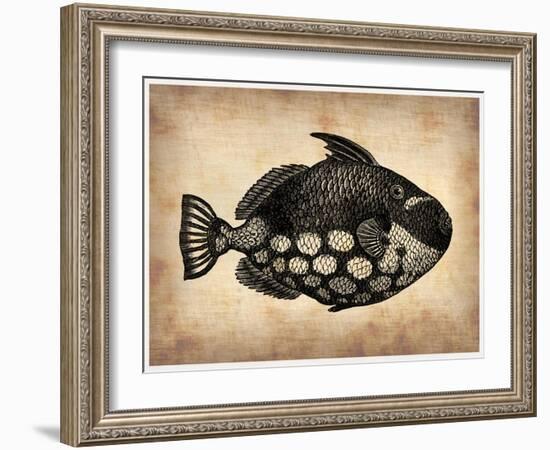 Vintage Fish-NaxArt-Framed Art Print