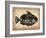 Vintage Fish-NaxArt-Framed Art Print