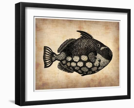 Vintage Fish-NaxArt-Framed Art Print