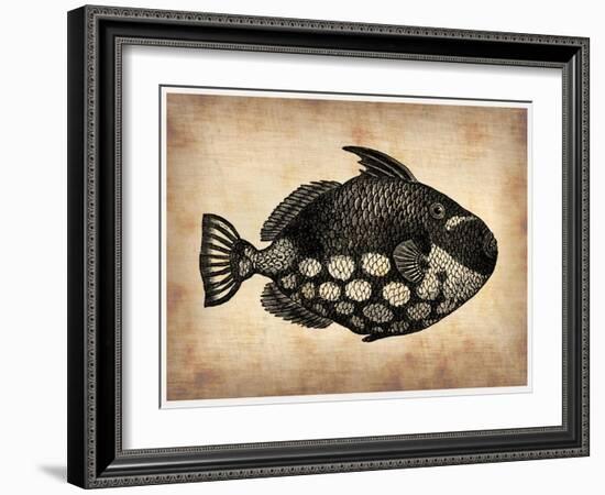 Vintage Fish-NaxArt-Framed Art Print